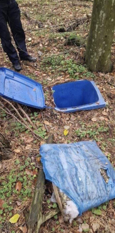 Nowe ślady Grzegorza Borysa w lesie. Ujawniono nieznane dotąd zdjęcia