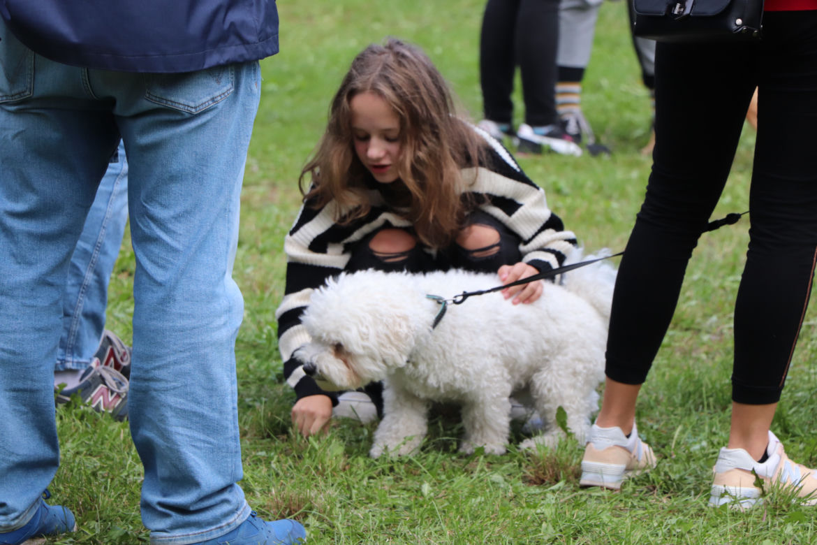 IX Piknik Przyjaciół Schroniska w Toruniu