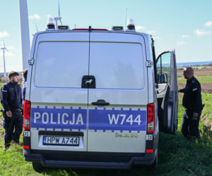 Poszukiwania Emilii Koprowskiej