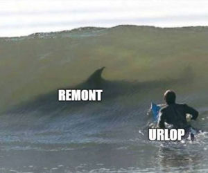 Urlop: memy