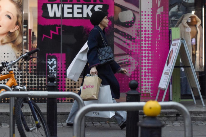 Katarzyna Warnke na zakupach