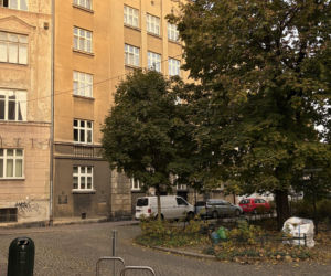 Dom pod pszczółkami w Krakowie