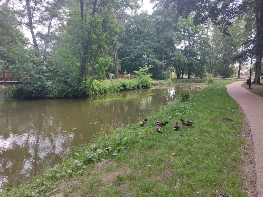 Park im. Szafera w Rzeszowie 