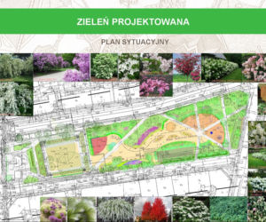 Wizualizacja skweru Skaczącej Gwaizdy