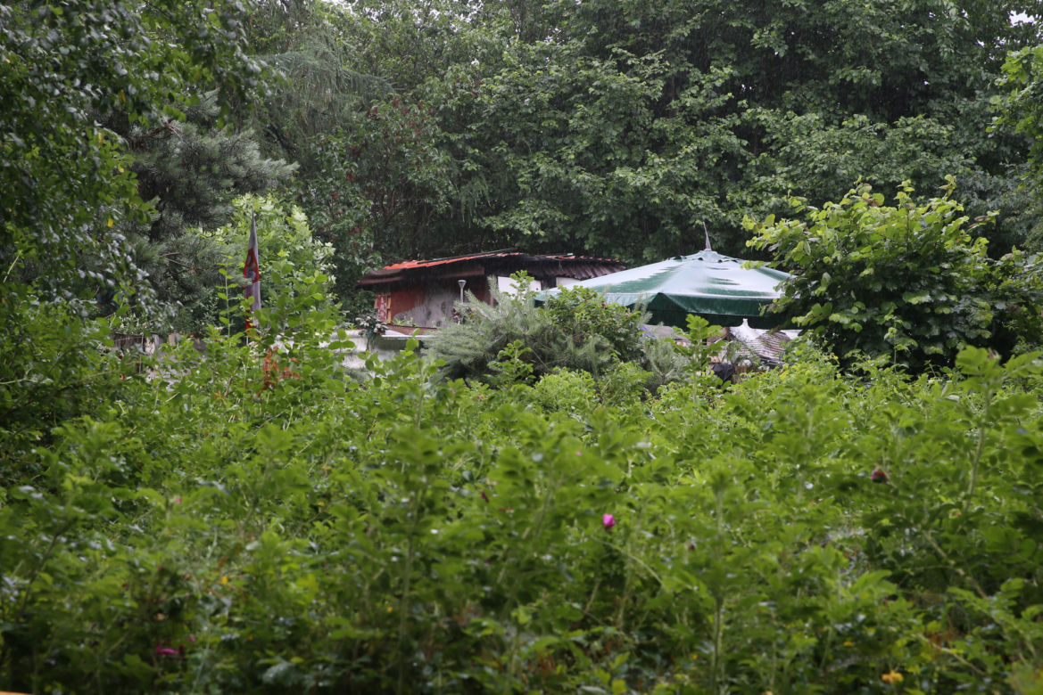 Wytną drzewa żeby zrobić Park Aktywności Rodzinnej. Mieszkańcy Wawra wściekli