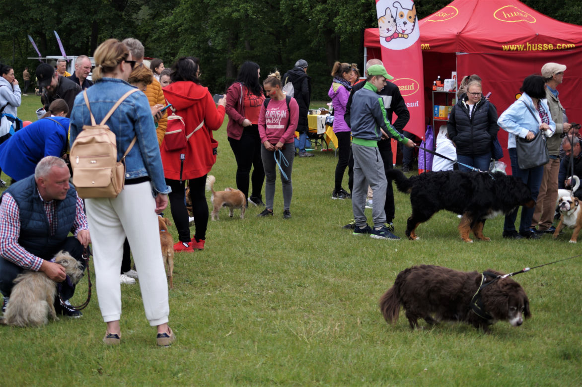 Piknik Dobrych Psów i Ludzi w Myślęcinku [ZDJĘCIA]