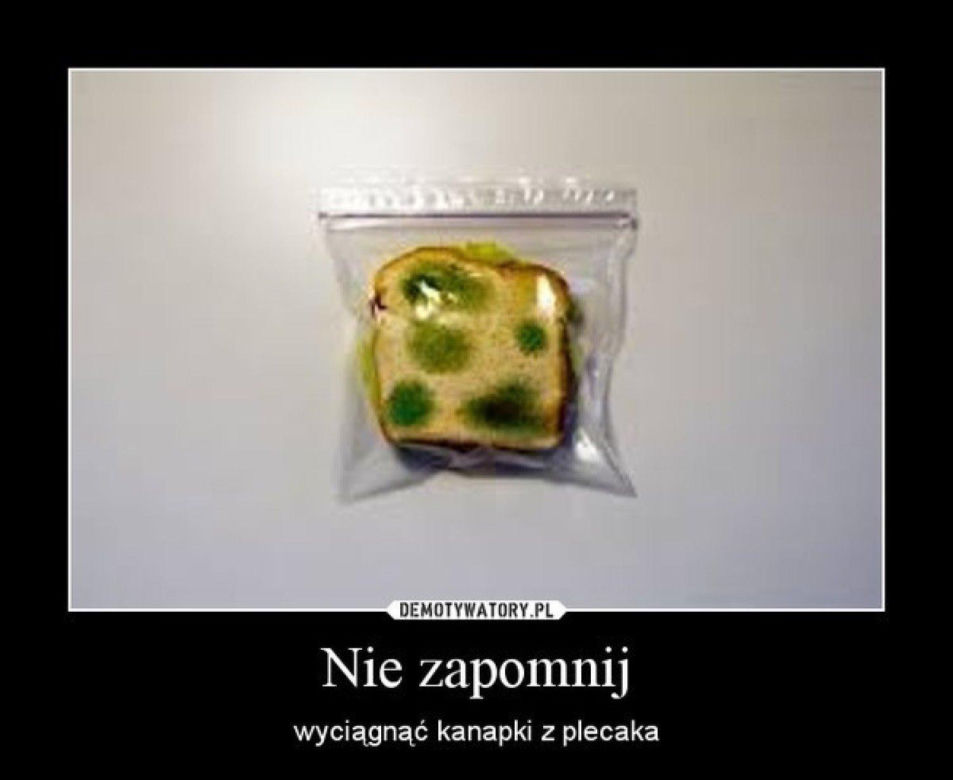 Memy na zakończenie Roku Szkolnego 2023/2024