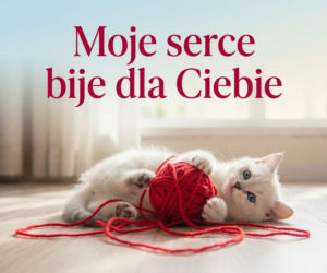 Życzenia walentynkowe na odległość - gdy dzielą was kilometry