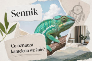 Kameleon we śnie – co oznacza i kiedy ostrzega?
