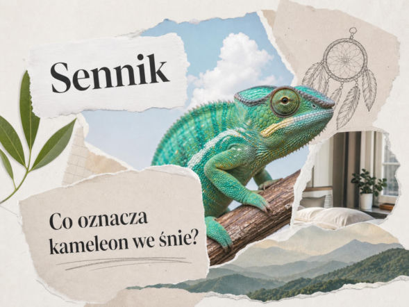 Kameleon we śnie – co oznacza i kiedy ostrzega?