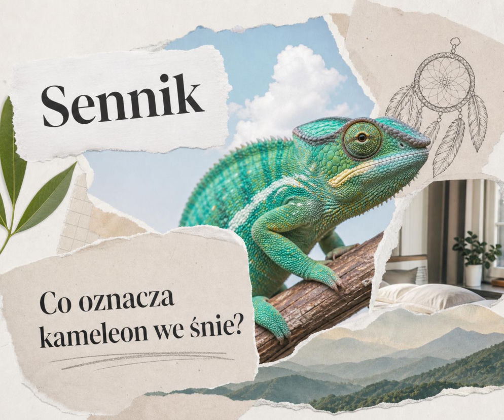 Zielony kameleon na gałęzi w centralnej części kolażu sennika. O znaczeniu snu o kameleonie przeczytasz na SE.