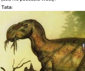 nawyki typowych ojców