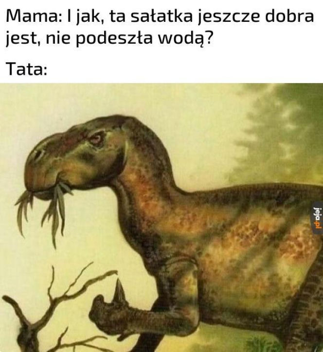 nawyki "typowych ojców"
