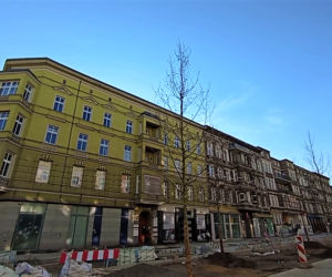 Siedmiometrowe platany już zdobią aleję Wojska Polskiego