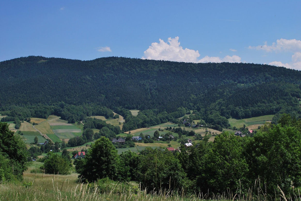 Wierzbanowa