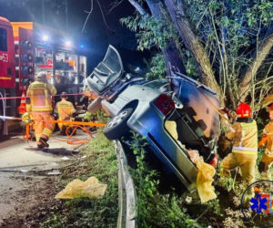 Nocna eskapada nastolatków zakończona na drzewie. Jednego z wraku wycinali strażacy!