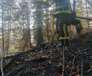 Wyrzucał popiół z kominka, ogniem zajął się hektar lasu w Baligrodzie [Zdjęcia]