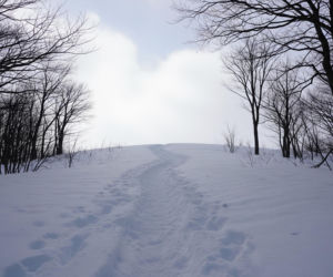 Dramat w walentynki. Jak niesamowity splot zdarzeń uratował dłoń górala?