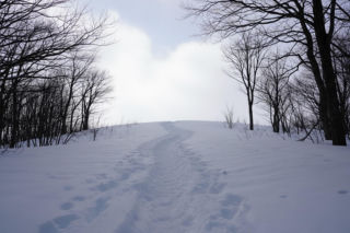 Dramat w walentynki. Jak niesamowity splot zdarzeń uratował dłoń górala?