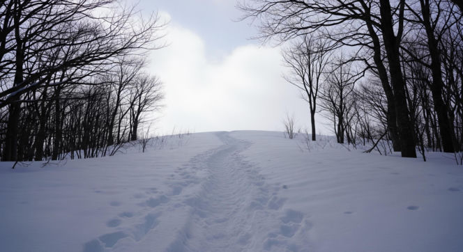 Dramat w walentynki. Jak niesamowity splot zdarzeń uratował dłoń górala?