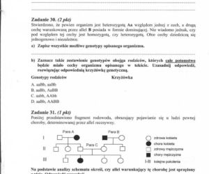 MATURA 2012 BIOLOGIA poziom ROZSZERZONY 14.05.2012 - ARKUSZE, ZADANIA, PYTANIA, ODPOWIEDZI