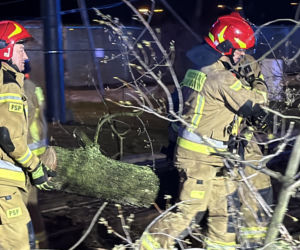 Powalone drzewa i awarie prądu w części województwa