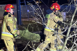 Powalone drzewa i awarie prądu w części województwa