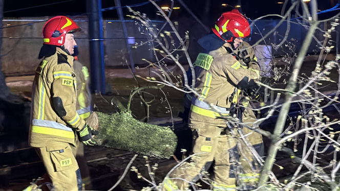 Powalone drzewa i awarie prądu w części województwa