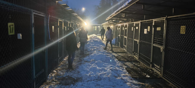 Minister interweniuje w sprawie schronisk w Tarnowie i Oświęcimiu. Są wyniki nagłej kontroli