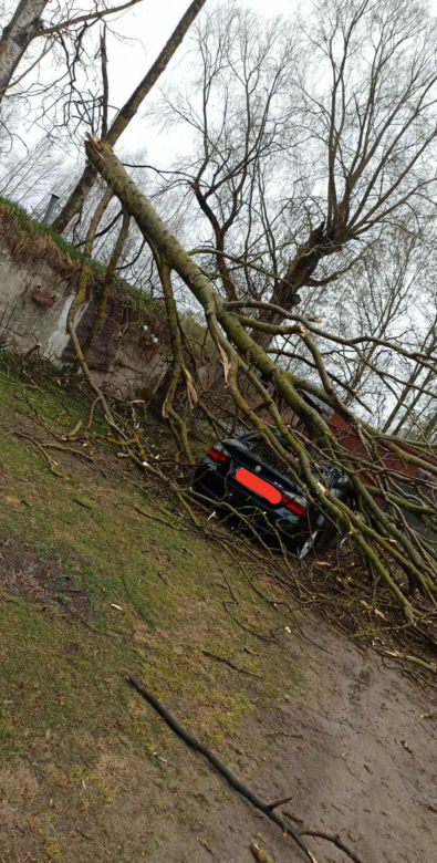 Powiat siedlecki: liczne interwencje strażaków w związku z wichurą