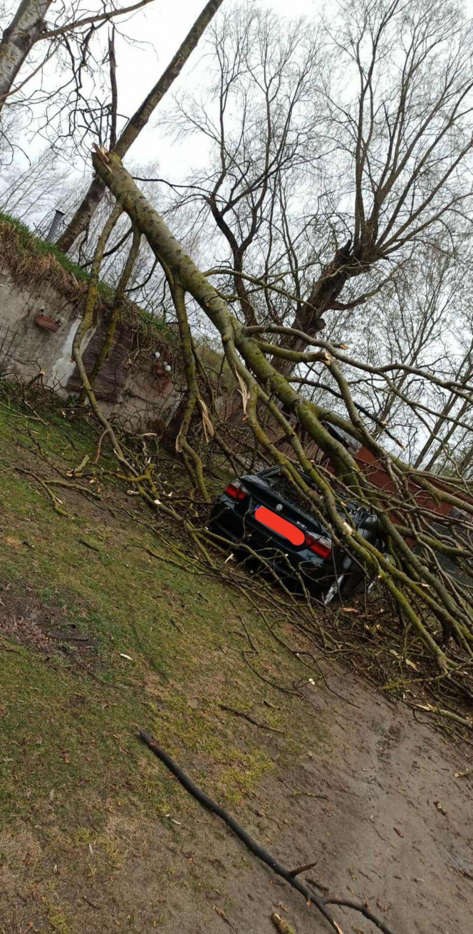 Powiat siedlecki: liczne interwencje strażaków w związku z wichurą