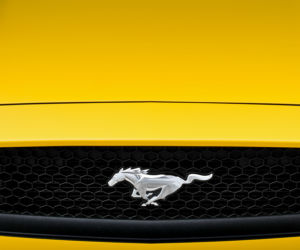 2015 Ford Mustang 5.0 V8