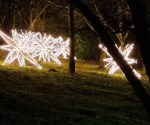 Ogród Botaniczny po zmroku zamienia się w magiczny ogród [GALERIA]