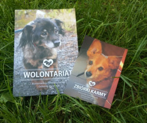 Można też zostać wolontariuszem Rzeszowskiego Stowarzyszenia Ochrony Zwierząt