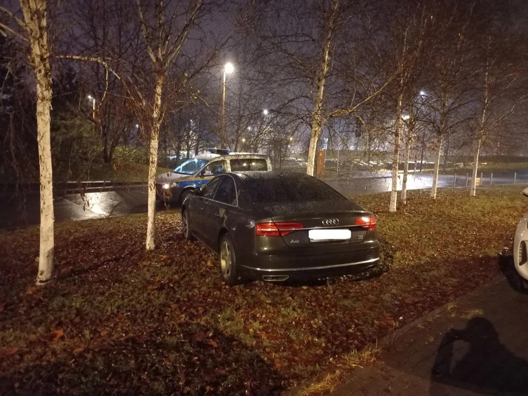 Miszczowie parkowania w Katowicach. Ich nikt tego nie nauczył