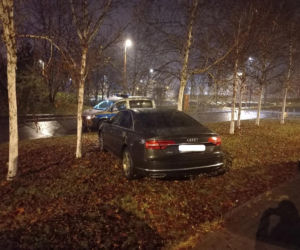 Miszczowie parkowania w Katowicach. Ich nikt tego nie nauczył