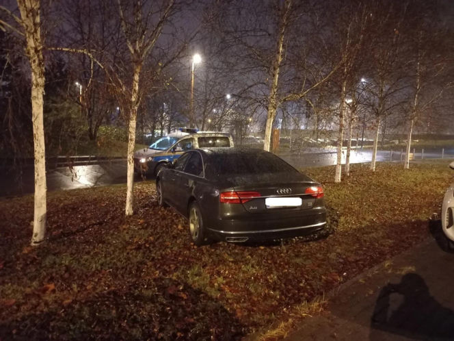 Miszczowie parkowania w Katowicach. Ich nikt tego nie nauczył