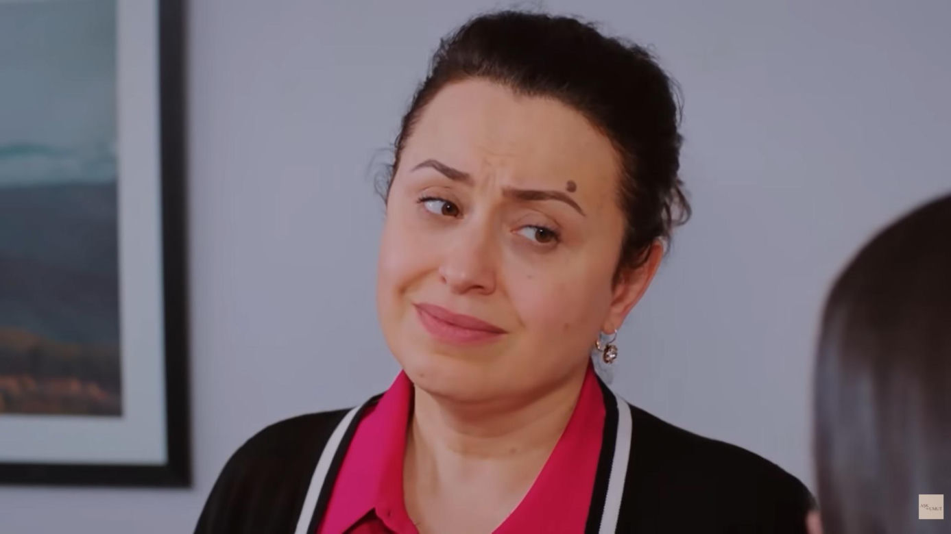 Miłość i nadzieja, odcinek 342. Cavidan, Bahar