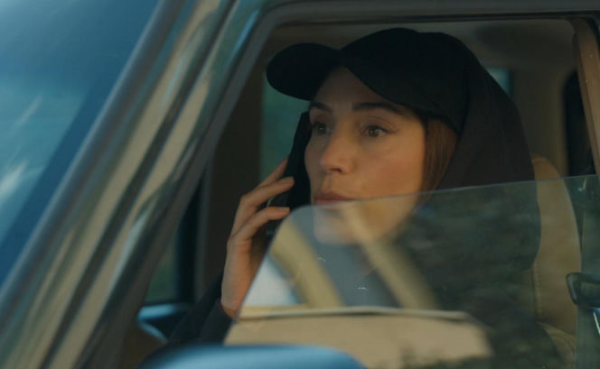 Barwy szczęścia odc. 3311. Celina (Orina Krajewska)