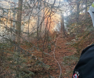 Wyrzucał popiół z kominka, ogniem zajął się hektar lasu w Baligrodzie [Zdjęcia]