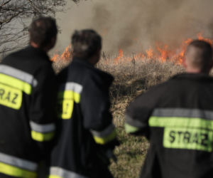 Pożar w Biebrzańskim Parku Narodowym