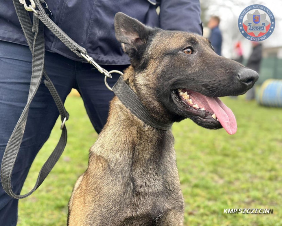 Nowe psy w zachodniopomorskiej policji