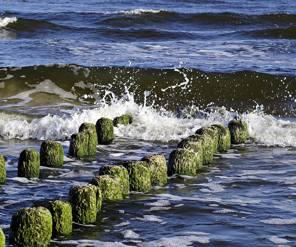 Dwóch nastolatków zaginęło na plaży w Gdańsku