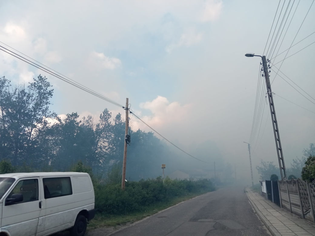 Pożar lasu w Miasteczku Śląskim