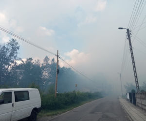 Pożar lasu w Miasteczku Śląskim