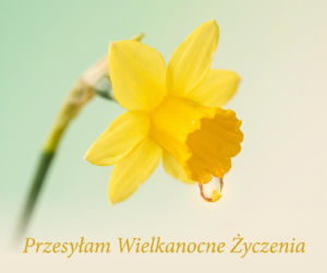 Oryginalna kartka wielkanocna