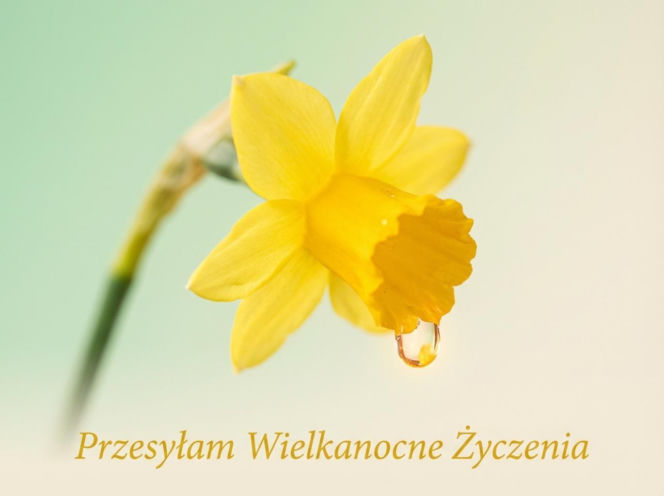 Oryginalna kartka wielkanocna