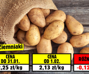 Sprawdź ile zaoszczędzisz od 01.02!