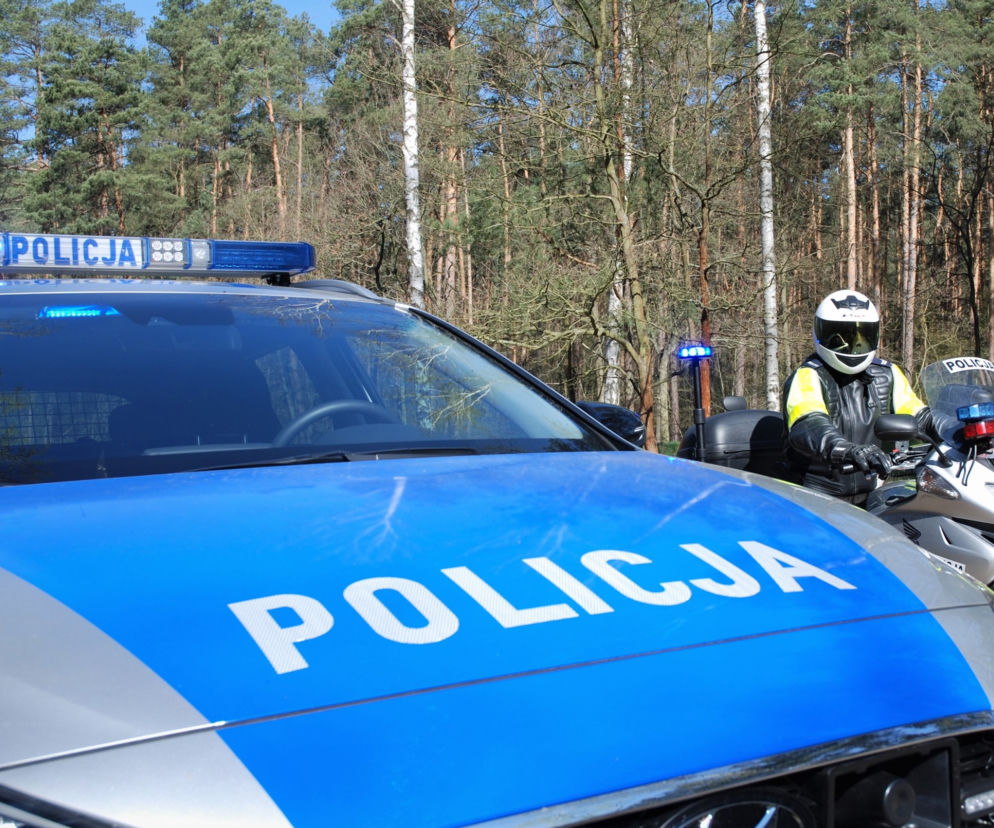 policja ostrów