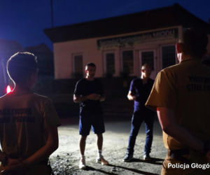 Alarm na Dolnym Śląsku. Nowe ustalenia po poszukiwaniach tajemniczego drapieżnika